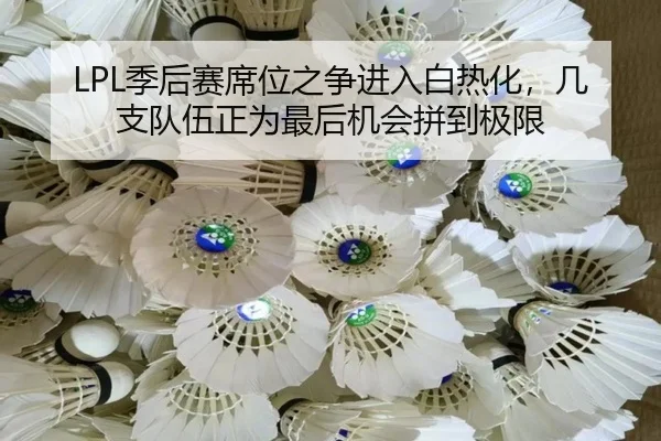 LPL季后赛席位之争进入白热化，几支队伍正为最后机会拼到极限 - bet365